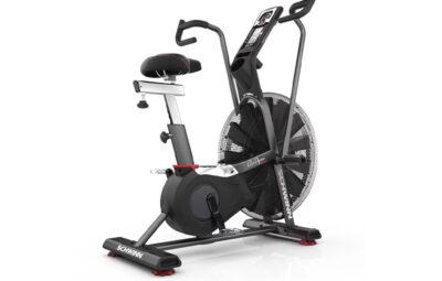 Schwinn Airdyne AD7 Pro