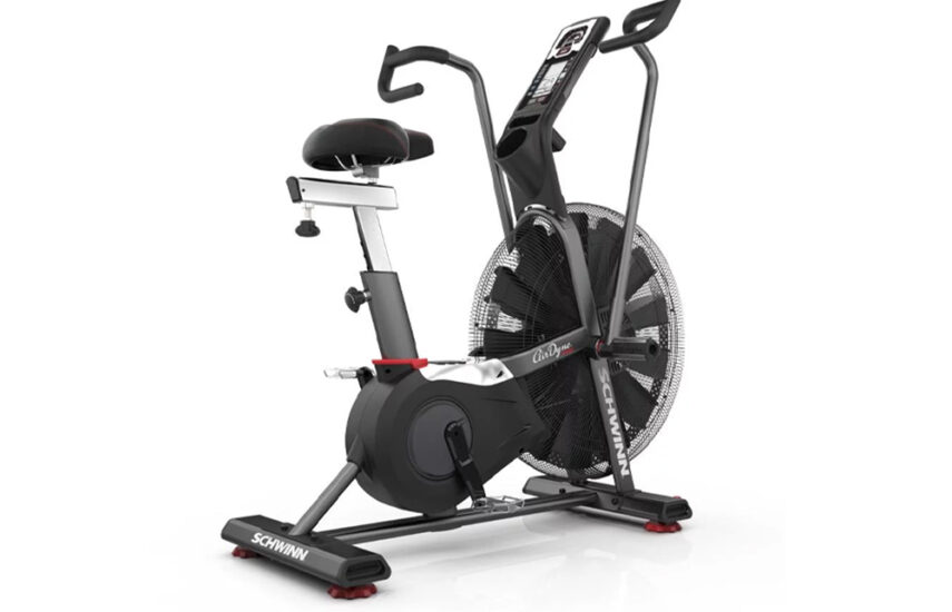 Schwinn Airdyne AD7 Pro