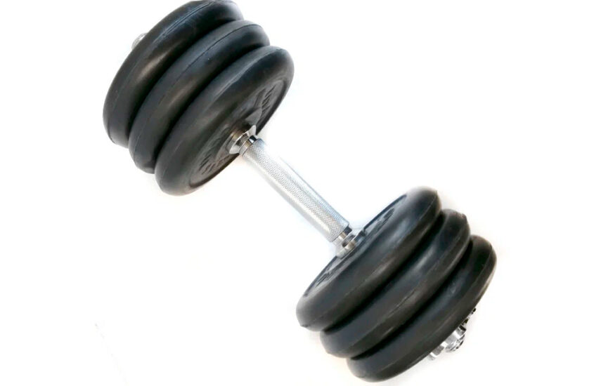 Titan Barbell d26 (разборные гантели)